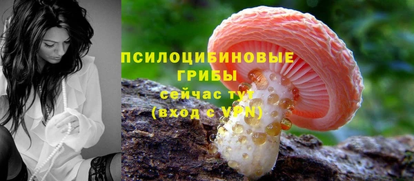 герыч Елабуга
