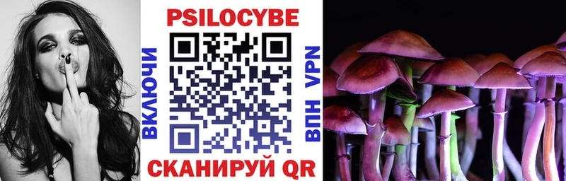 Купить закладки  Суворов  Псилоцибиновые грибы Cubensis 