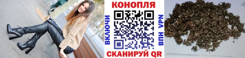 Шишки марихуана Ganja  Купить где  Суворов 